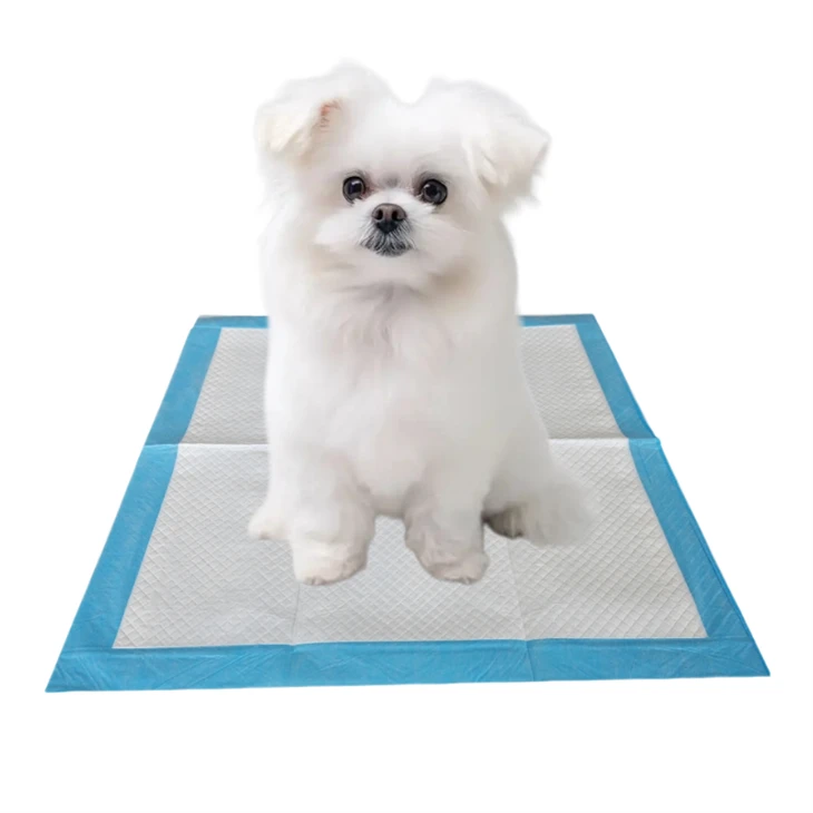 Einnota bakteríudrepandi Fjarlægja Smell Puppy Training Pads