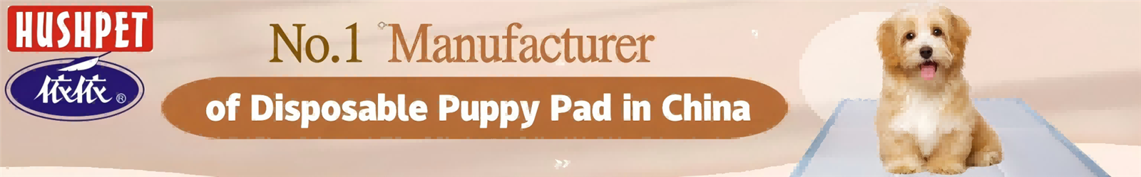 No1 -1920-3001 No1 -1920-3001