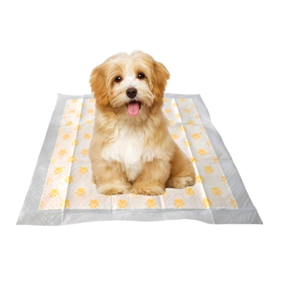 Einnota PH prófunarpúðar fyrir hunda